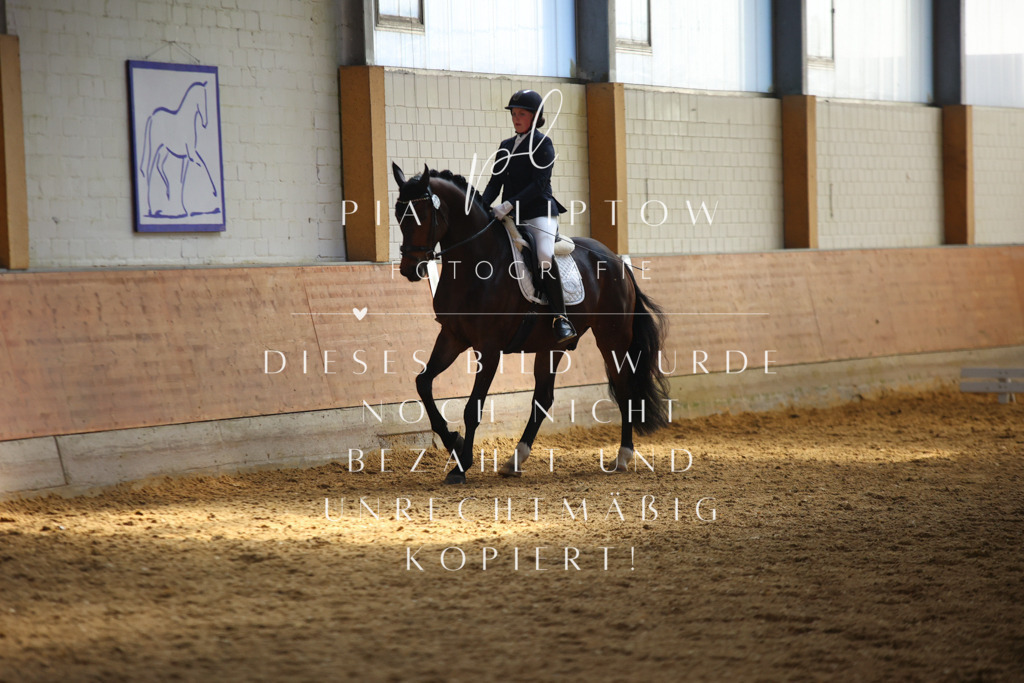 IMGT6916 | pl-fotografie