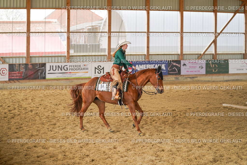 DSC04591 | Pferdegrafie