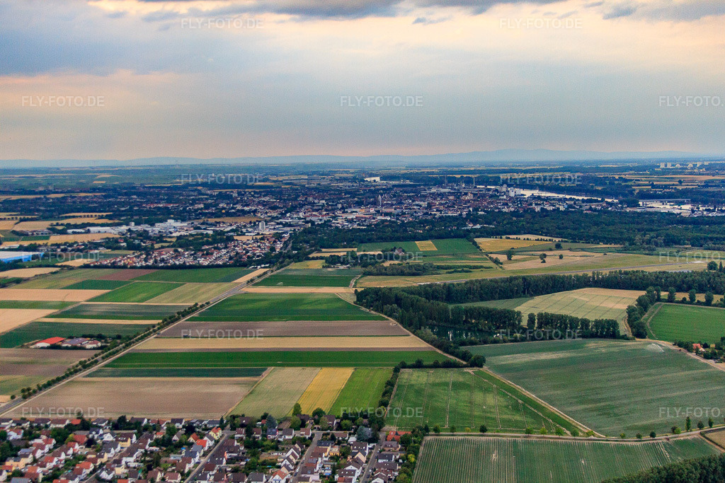 Luftbild: Ortsteil Karl-Marx-Siedlung von Süden in Worms im Bundesland Rheinland-Pfalz in Deutschland. Foto: IMG_69150.jpg vom 24.06.2014 durch Werner Riehm/FLY-FOTO.deAuflösung des Originals: 4752 x 3168 px