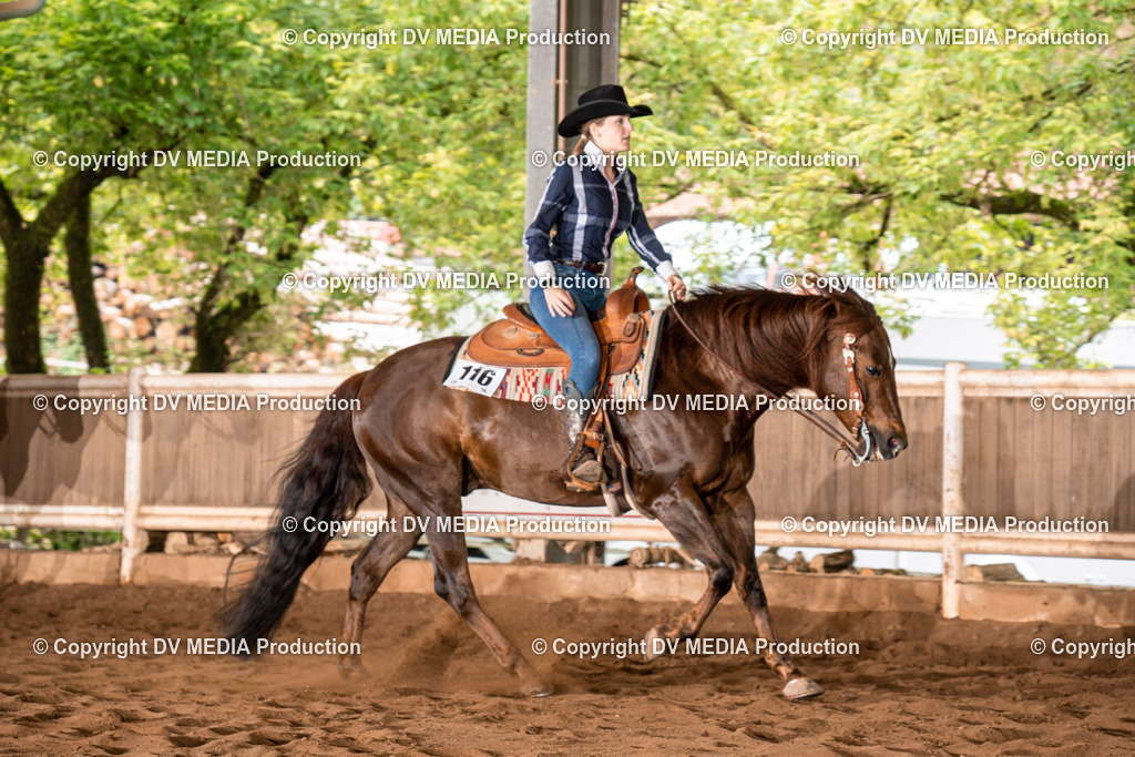 Erbach Tag 4-688 | dv-media-shop - Realisiert mit Pictrs.com