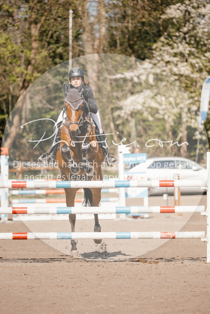 3I6A3941 | Stimmungsvolle Portraits und Reitsportfotografie im Ruhrgebiet und im Münsterland.

Pferdefotografie, Hundefotografie, Tierfotografie, Reportagen, Portraits von Tier und Mensch, Turnierfotografie in Bochum, Recklinghausen, Marl, Haltern am See, Dülmen.. - Realisiert mit Pictrs.com