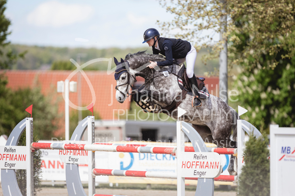 240428_Spenge_M2-Spr-149 | Deine schönsten Turniermomente als professionelle Fotos! Entdecke hochwertige Pferdesport-Fotografie im Online-Shop. Jetzt Fotos finden & bestellen!