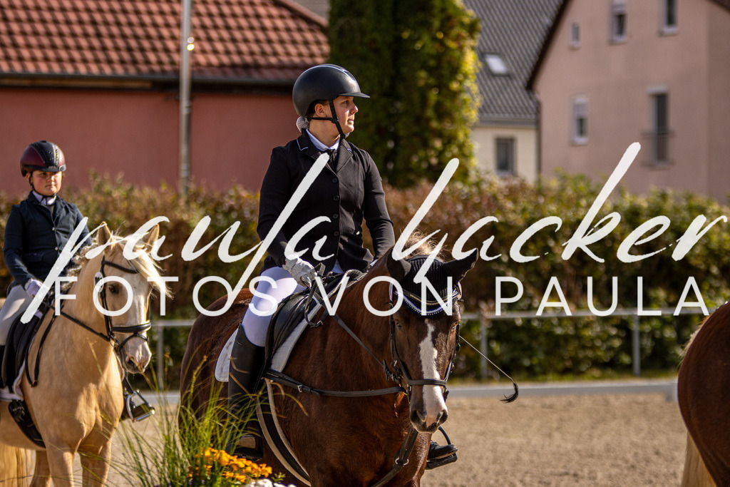 IMG_3441 | Erleben Sie dynamische Sport- und emotionale Tierfotografie in Süddeutschland mit Fotos von Paula. Spezialisiert auf Pferde- und Hundefotografie sowie Sportevents. Kontaktieren Sie mich für einzigartige und ausdrucksstarke Bilder Ihrer besonderen Momente.