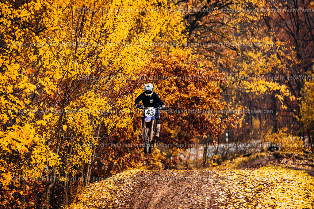 E68A4434 | blick_win_kel