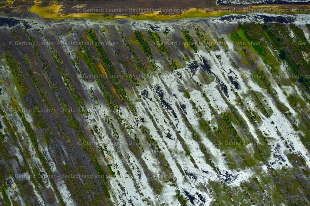 3620847 | Diepholzer Moor