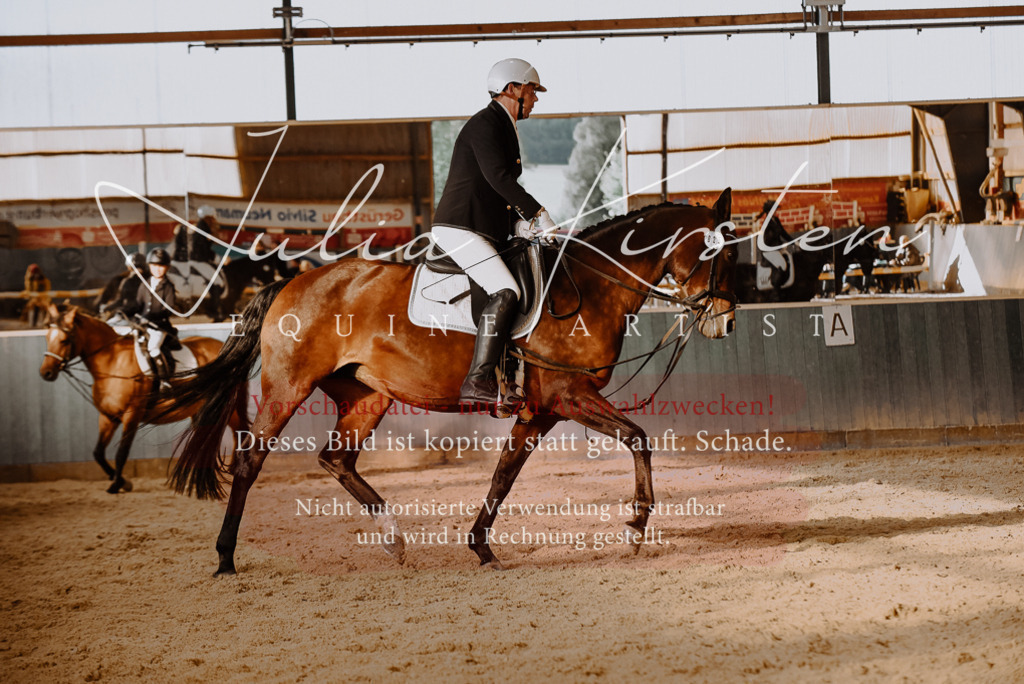 DSC_7565 | Pferde- und Turnierfotografie in Westsachsen. Pferdeportraits, Auftragszeichnungen und intuitive Kunst.