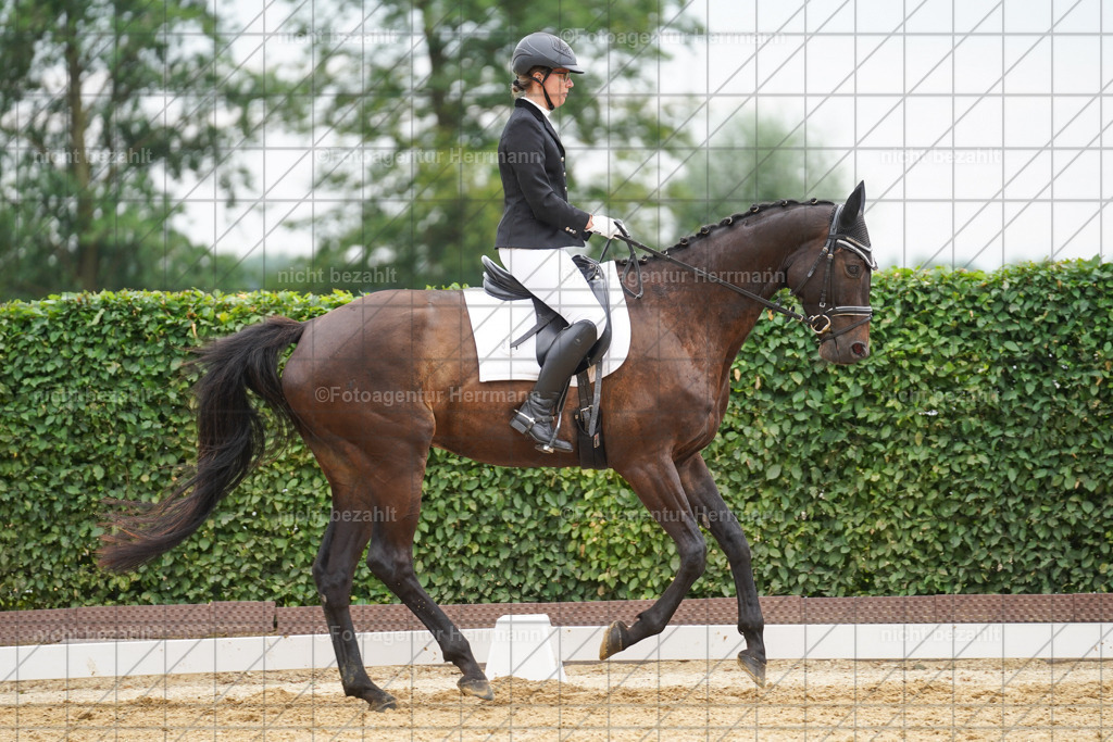 20240630-FAH00883 | Turnierbilder Schwabmünchen, Dressurbilder, Springreitturnier, Reitsportbilder, Turnierfotografen Bayern, Turnierfotograf
