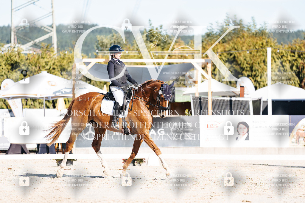CK907642 | Turnierfotografie Pferdefotografie Trier Rheinland-Pfalz Pferdesport Reitsport Tierfotografie Sportfotografie Pferdevideo Pferdevideografie Equestrianvideography equestrianphotography  - Realisiert mit Pictrs.com