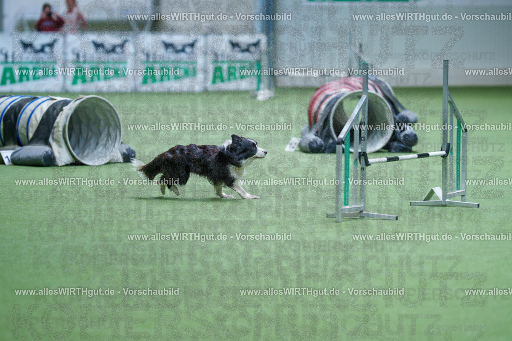 @allesWIRTHgut_Tierfotografie - www.allesWIRTHgut.de - 2604251119-7R500201 | Professionelle Tierfotografie in Mönchengladbach von Daniel Wirth (allesWIRTHgut). Liebevolle & natürliche Bilder von Hunden & Katzen für unvergessliche Erinnerungen.