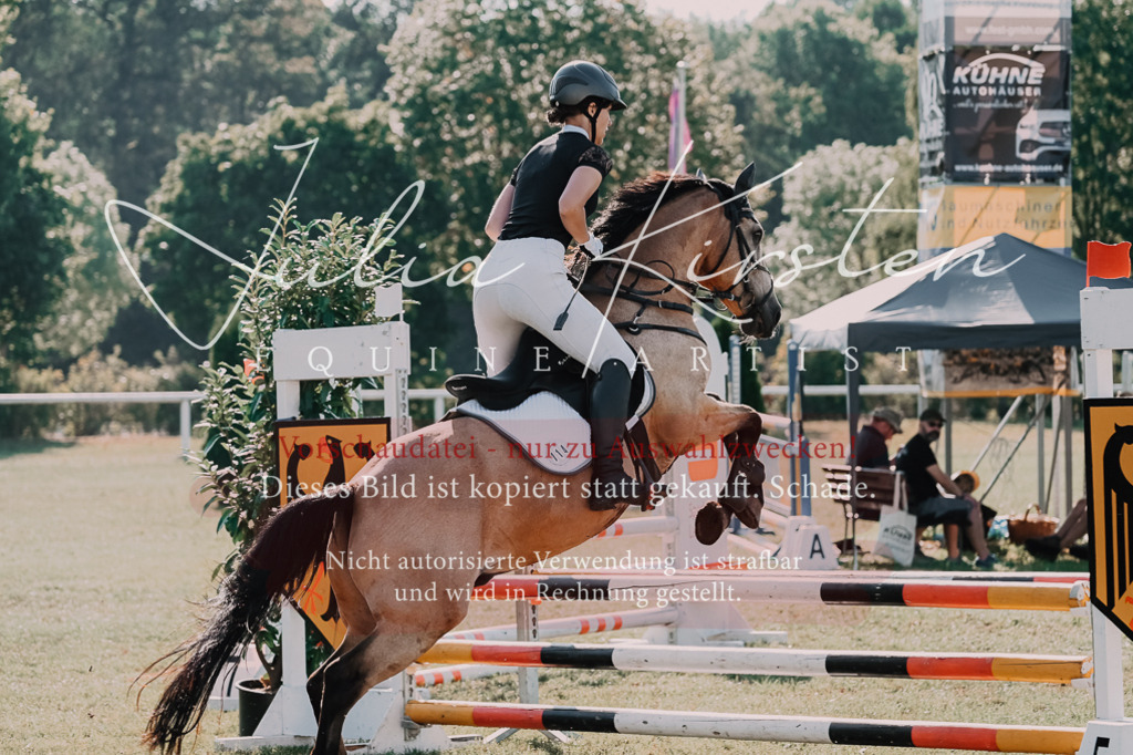 DSC_4849 | Pferde- und Turnierfotografie in Westsachsen. Pferdeportraits, Auftragszeichnungen und intuitive Kunst.