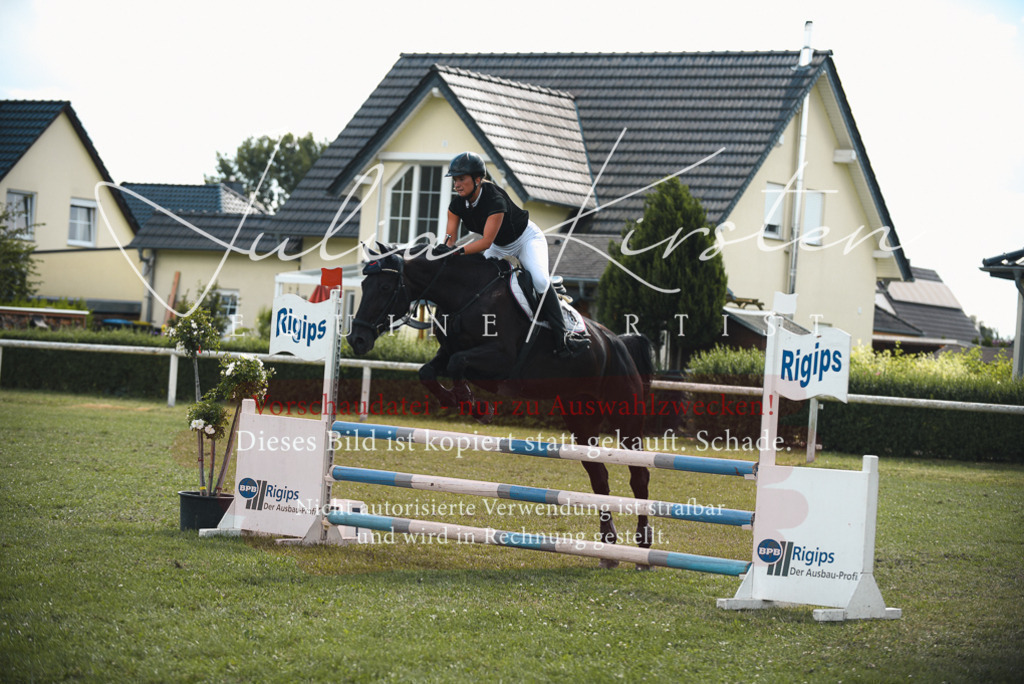 DSC_6686 | Pferde- und Turnierfotografie in Westsachsen. Pferdeportraits, Auftragszeichnungen und intuitive Kunst.