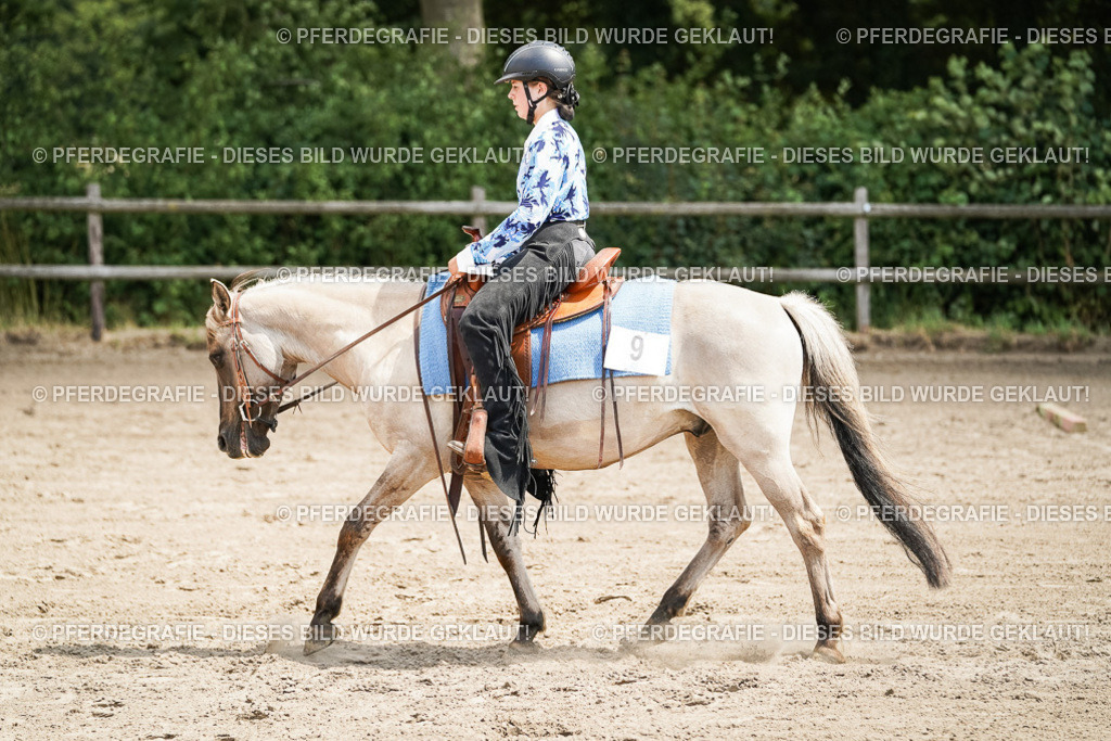 DSC07860 | Pferdegrafie