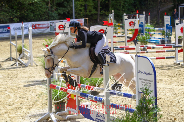 DKP40488 | Turniersportfotografie; Pferdefotografie; Dressurfotografie