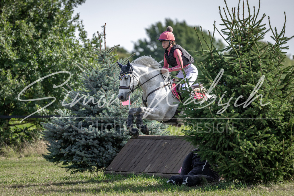 20250907-_3LI9778 | Tierfotografie Pferde, Hunde, Katzen, Haustiere.
Turnierfotografie Reitturniere, Reiten, Springreiten, Dressur in Hanau, dem Main-Kinzig-Kreis und dem Rhein-Main- Gebiet um Frankfurt