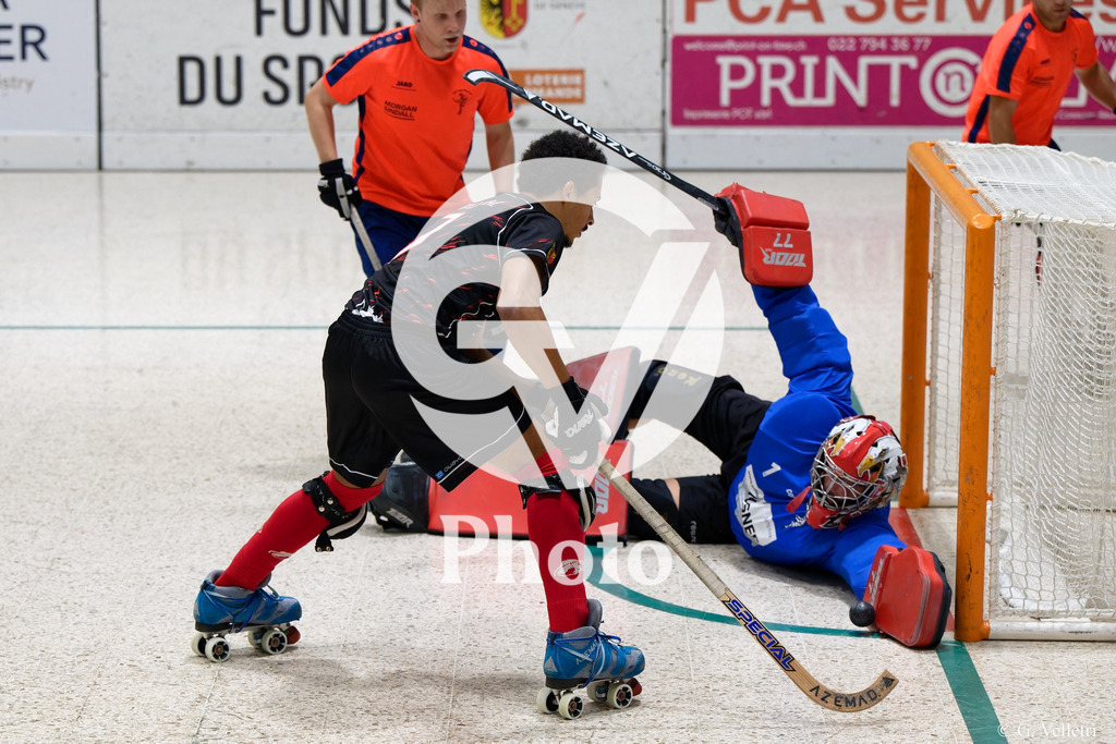 DSC_2469 | Velletri Photo