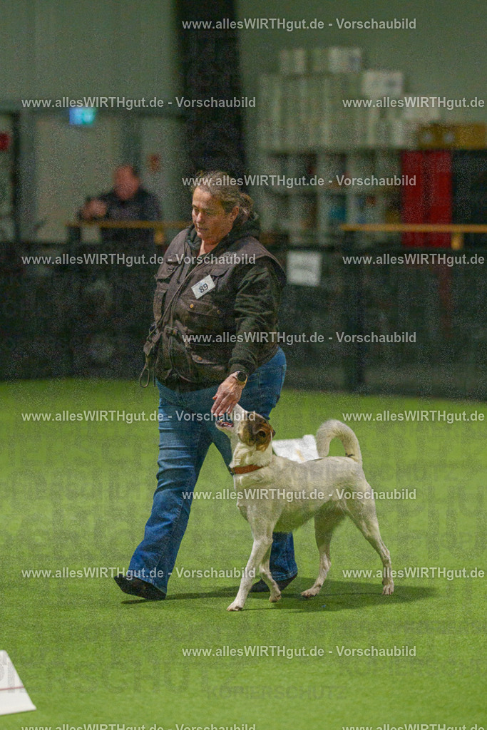 7R508637 | Professionelle Tierfotografie in Mönchengladbach von Daniel Wirth (allesWIRTHgut). Liebevolle & natürliche Bilder von Hunden & Katzen für unvergessliche Erinnerungen.