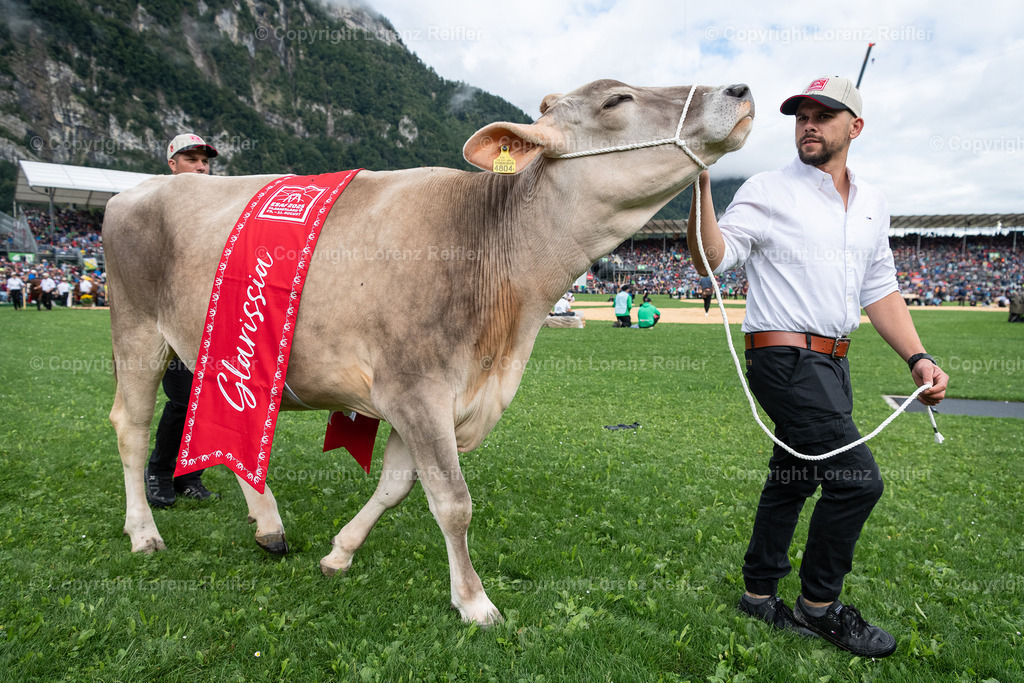 Schwingen -  ESAF 2025 Samstag | Mollis, 30.8.25, Schwingen - ESAF Samstag.