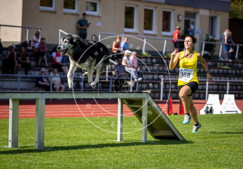 Pfotenfotografie_DV3A9838 | Hundefotografie, Tierfotograf, Pfotenfotografie, Fotoshooting Hund, Hunde Portrait, Hundesport, Hundeportraits, Heideshooting, Hunde, Sportfotograf, Hundefotograf, Turnierhundsport, THS,  - Realisiert mit Pictrs.com