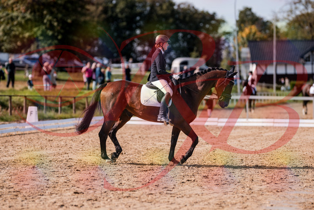 2026_10_03_Siefer-Hof_130219_Z81_56027743 | Professionelle Reitsport-, Turnier- und Eventfotografie von Robert Broda. Galerien mit ausgewählten und bearbeiteten Bildern direkt online ansehen und bestellen.