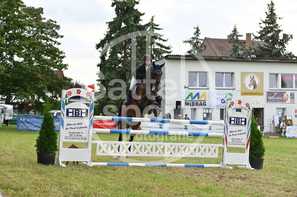 DSC_3948 | sattelsport - Realisiert mit Pictrs.com