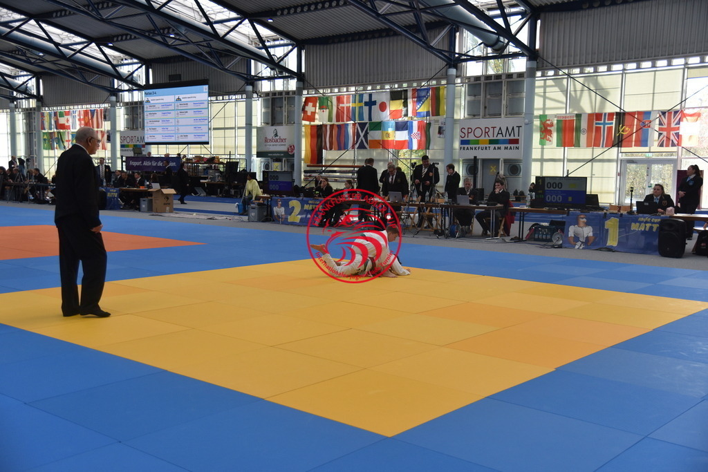 PJL_7060 | Fotos vom Adler Cup - Pictures from Adler Cup

Hier findet Ihr alle Eindrücke und großen Momente der Adler Cup Wochenenden. Here you will find all impressions and great moments of the Adler Cup weekends. - Realisiert mit Pictrs.com