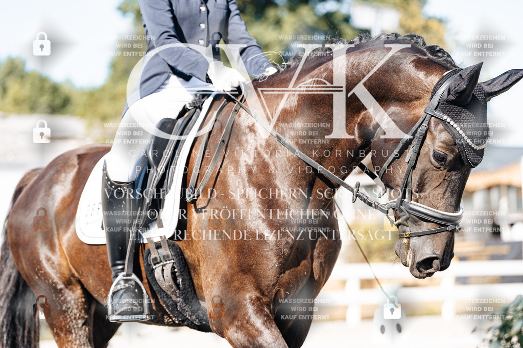 CK907803 | Turnierfotografie Pferdefotografie Trier Rheinland-Pfalz Pferdesport Reitsport Tierfotografie Sportfotografie Pferdevideo Pferdevideografie Equestrianvideography equestrianphotography  - Realisiert mit Pictrs.com