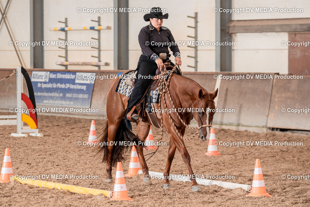 LM Heiligenwald Tag 3-1895 | dv-media-shop - Realisiert mit Pictrs.com