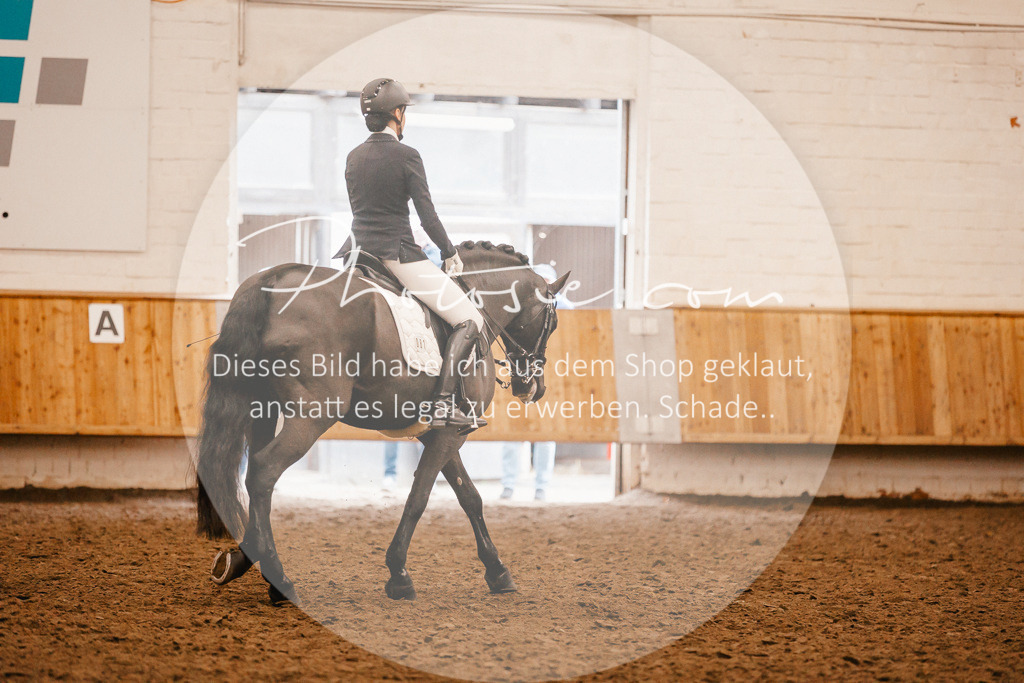 3I6A2867 | Stimmungsvolle Portraits und Reitsportfotografie im Ruhrgebiet und im Münsterland.

Pferdefotografie, Hundefotografie, Tierfotografie, Reportagen, Portraits von Tier und Mensch, Turnierfotografie in Bochum, Recklinghausen, Marl, Haltern am See, Dülmen.. - Realisiert mit Pictrs.com