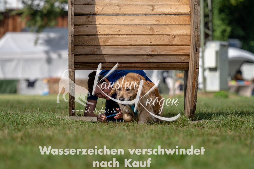 1040_ZZ93014 | kk-dogfotos