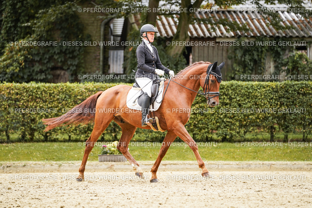 DSC08364 | Pferdegrafie