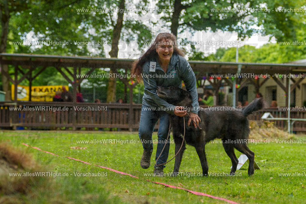@allesWIRTHgut_Tierfotografie - www.allesWIRTHgut.de - 7R500237 | Professionelle Tierfotografie in Mönchengladbach von Daniel Wirth (allesWIRTHgut). Liebevolle & natürliche Bilder von Hunden & Katzen für unvergessliche Erinnerungen.