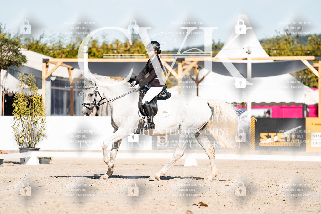 CK907453 | Turnierfotografie Pferdefotografie Trier Rheinland-Pfalz Pferdesport Reitsport Tierfotografie Sportfotografie Pferdevideo Pferdevideografie Equestrianvideography equestrianphotography  - Realisiert mit Pictrs.com