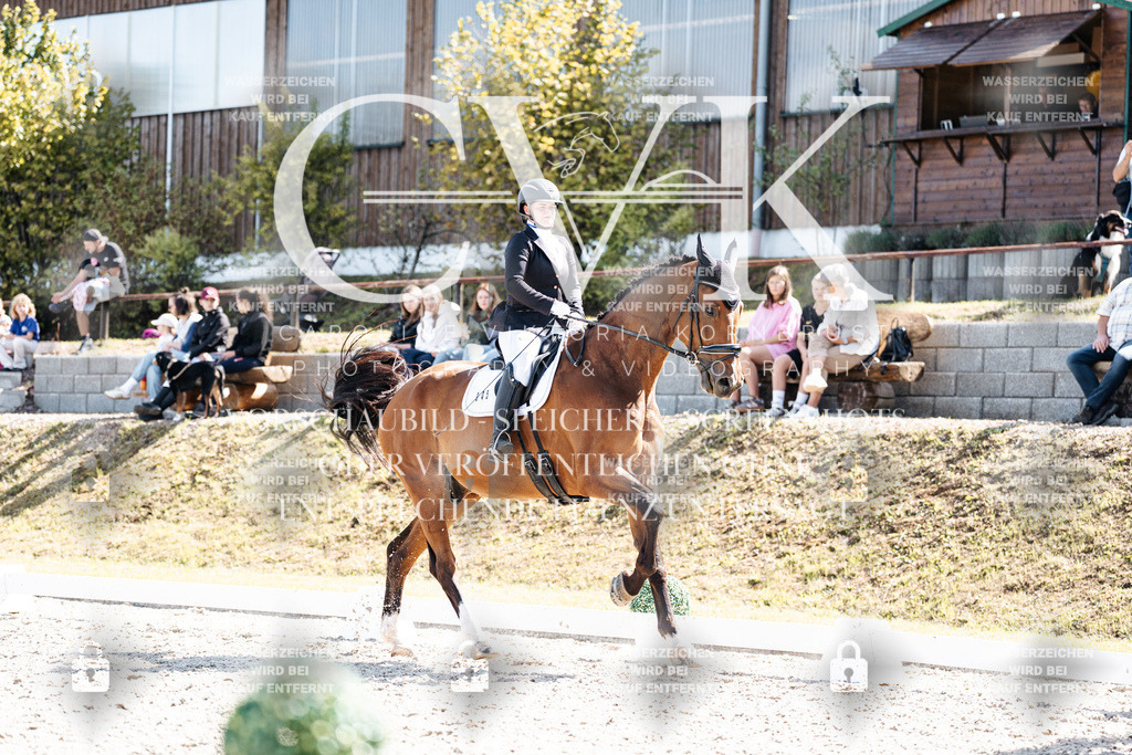 CK903243 | Turnierfotografie Pferdefotografie Trier Rheinland-Pfalz Pferdesport Reitsport Tierfotografie Sportfotografie Pferdevideo Pferdevideografie Equestrianvideography equestrianphotography  - Realisiert mit Pictrs.com