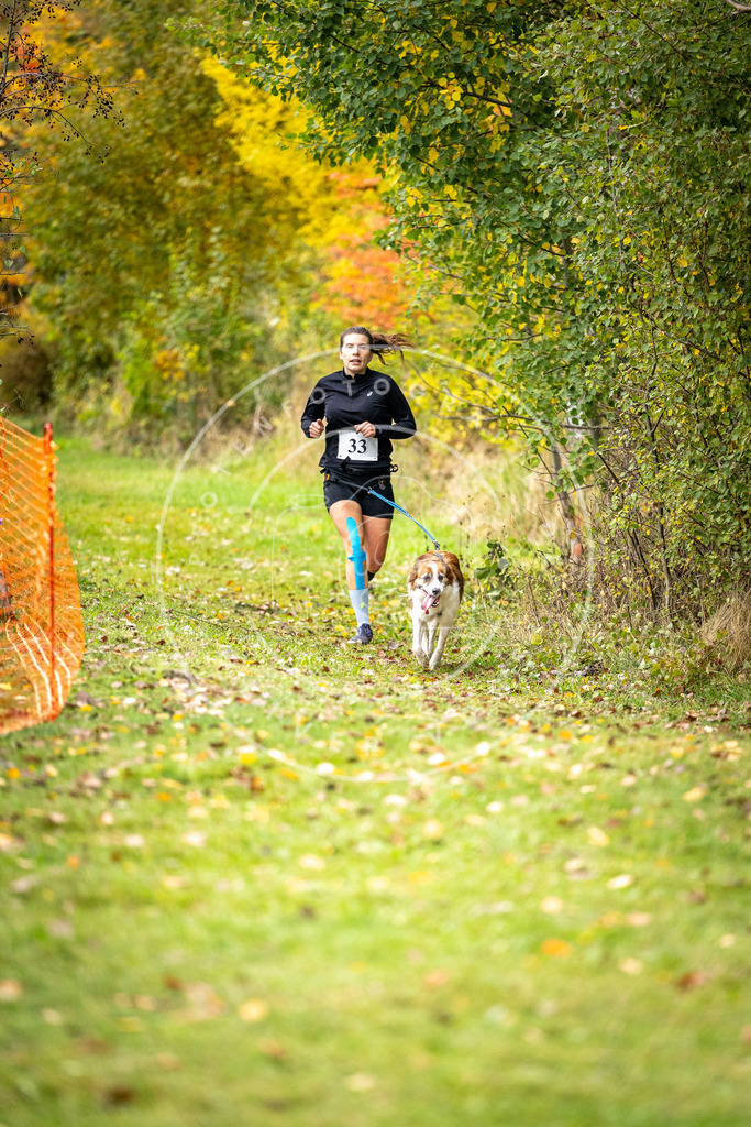 Pfotenfotografie_DV3A2127 | Hundefotografie, Tierfotograf, Pfotenfotografie, Fotoshooting Hund, Hunde Portrait, Hundesport, Hundeportraits, Heideshooting, Hunde, Sportfotograf, Hundefotograf, Turnierhundsport, THS,  - Realisiert mit Pictrs.com