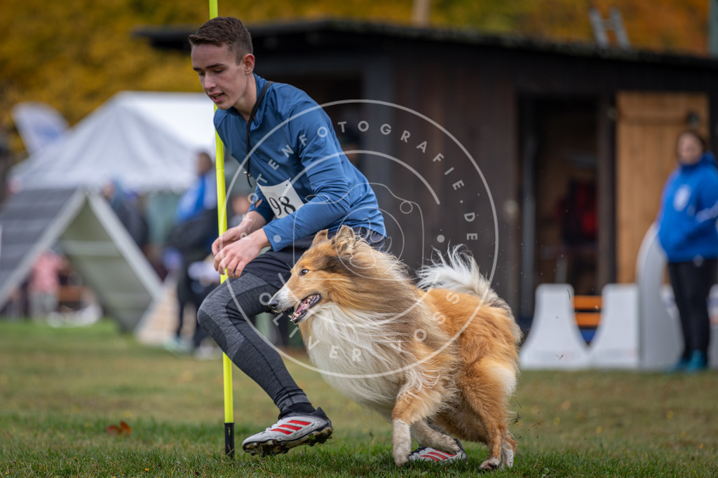 Pfotenfotografie_DV3A0792 | Hundefotografie, Tierfotograf, Pfotenfotografie, Fotoshooting Hund, Hunde Portrait, Hundesport, Hundeportraits, Heideshooting, Hunde, Sportfotograf, Hundefotograf, Turnierhundsport, THS,  - Realisiert mit Pictrs.com
