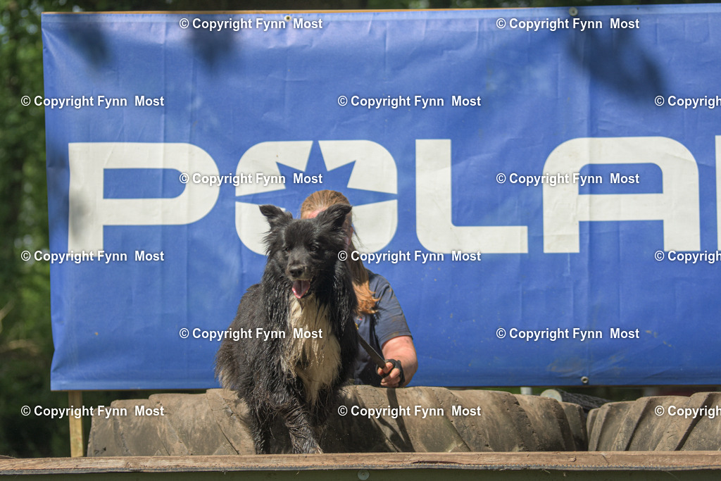 DSC_0839 | Hallo und herzlich Willkommen auf meiner Shop-Seite Fynn Most.

Ich wünsche Dir viel Spaß beim stöbern durch die Bilder, wenn Du Fragen hast oder Bilder vermisst, kannst du mir gerne eine Nachricht schreiben. - Realisiert mit Pictrs.com