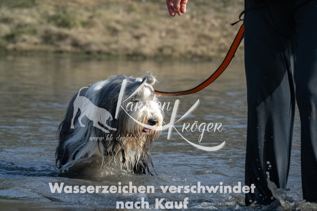 1442_ZZ90868 | kk-dogfotos
