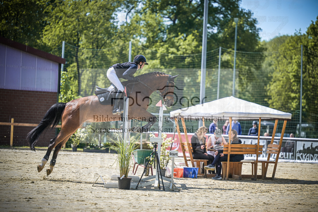 DOS_9064 | Entdecke hochwertige Reitturnierfotos von Foto Oger. Professionell, emotional und authentisch – jetzt Lieblingsmomente im Shop bestellen.Deutschlandweite Turnierfotografie. - Realisiert mit Pictrs.com