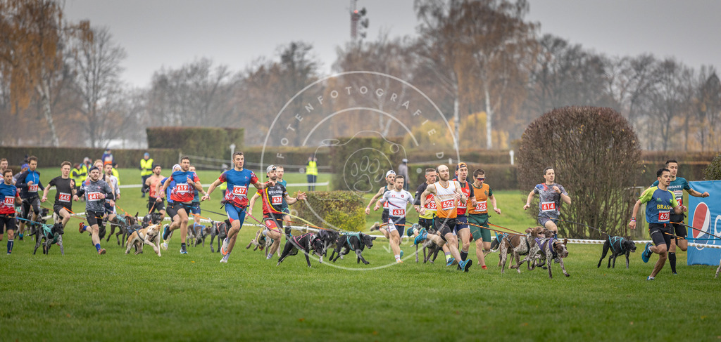 CaniXpix_DV3A9433 | Hundefotografie, Tierfotograf, Pfotenfotografie, Fotoshooting Hund, Hunde Portrait, Hundesport, Hundeportraits, Heideshooting, Hunde, Sportfotograf, Hundefotograf, Turnierhundsport, THS,  - Realisiert mit Pictrs.com