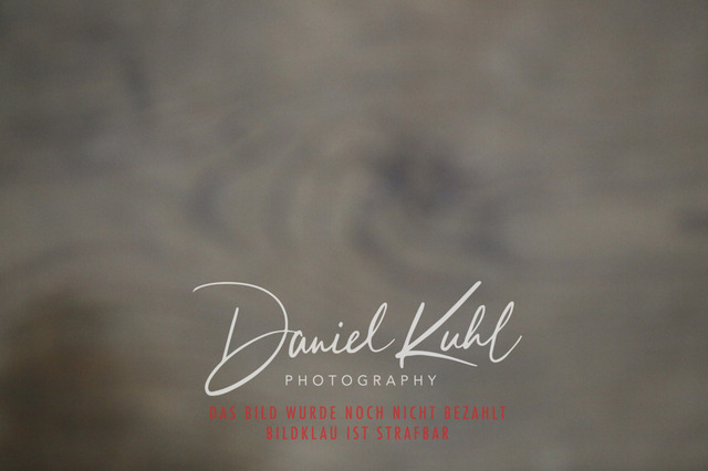IMG_0592 | Turnierfotos kaufen im Webshop von Daniel Kuhl Photography – entdecke professionelle Reitsportfotos aus Turnieren & Events. Hochwertige Turnierbilder online bestellen & sichern. Jetzt Fotos von Reitsportturnieren kaufen!
