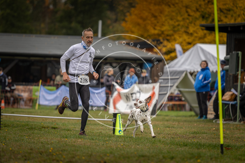 Pfotenfotografie_DV3A1827 | Hundefotografie, Tierfotograf, Pfotenfotografie, Fotoshooting Hund, Hunde Portrait, Hundesport, Hundeportraits, Heideshooting, Hunde, Sportfotograf, Hundefotograf, Turnierhundsport, THS,  - Realisiert mit Pictrs.com
