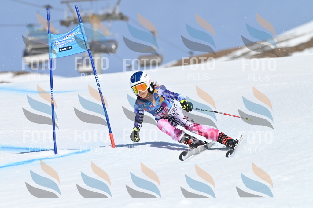 BGV_9719 | holidayphoto