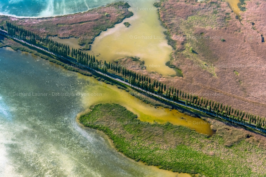 4028418 | REICHENAU 17.05.2020 Uferbereiche am Seegebiet des Insel Reichenau entlang der Pirminstraße in Reichenau im Bundesland Baden-Württemberg, Deutschland. // Riparian areas on the lake area of Insel Reichenau on street Pirminstrasse in Reichenau in the state Baden-Wurttemberg, Germany. Foto: Gerhard Launer
