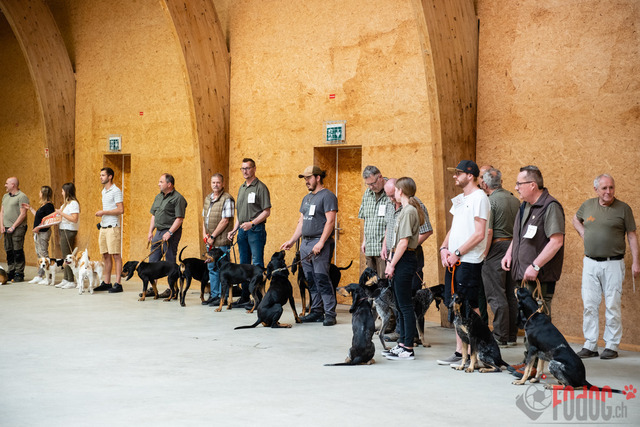 Expo Hunde CAC 2023 Escholznatt | Expo SLC/CCC/CSS (CAC) in Escholzmatt. 03.06.2023 Foto: Leo Wyden