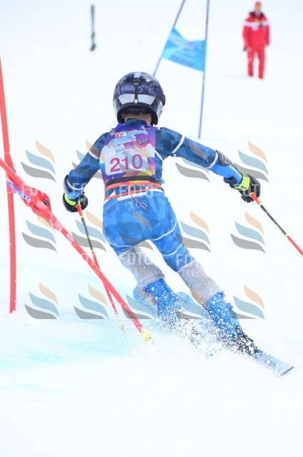 ALE_1527 | holidayphoto