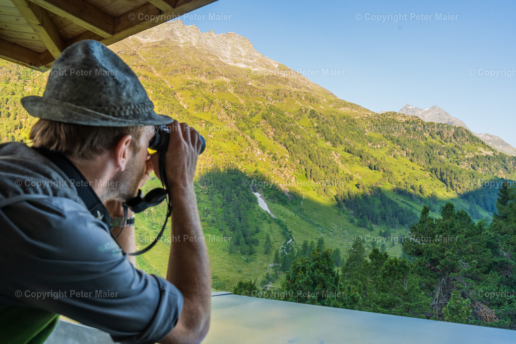 Wildtierbeobachtung_Oberhaus_Erlebnisraum_Wald_23_Peter_Maier-81 | piet_flosse