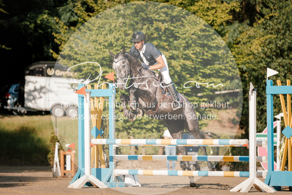 3I6A6100 | Stimmungsvolle Portraits und Reitsportfotografie im Ruhrgebiet und im Münsterland.

Pferdefotografie, Hundefotografie, Tierfotografie, Reportagen, Portraits von Tier und Mensch, Turnierfotografie in Bochum, Recklinghausen, Marl, Haltern am See, Dülmen.. - Realisiert mit Pictrs.com