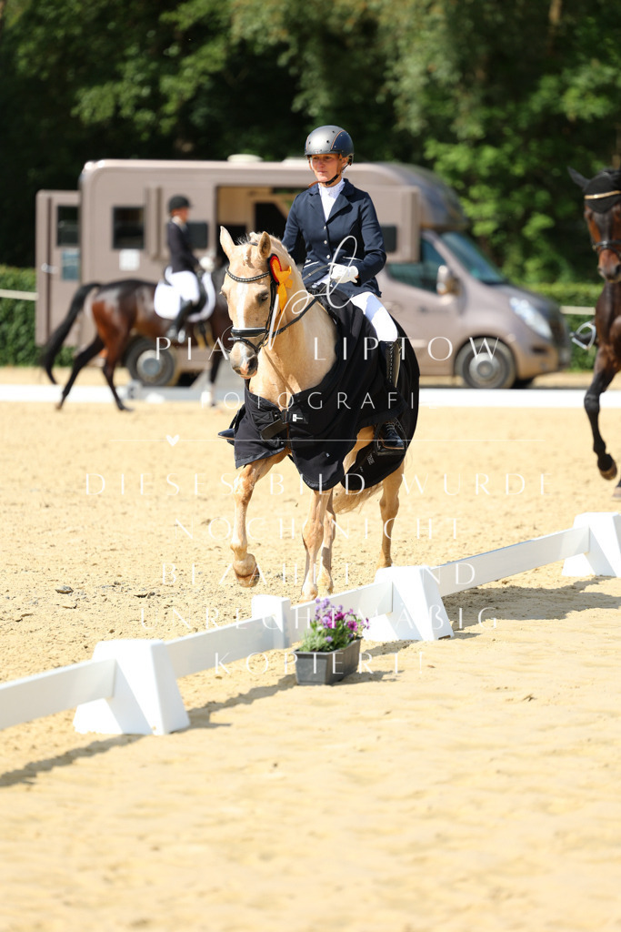 IMGM4275 | pl-fotografie