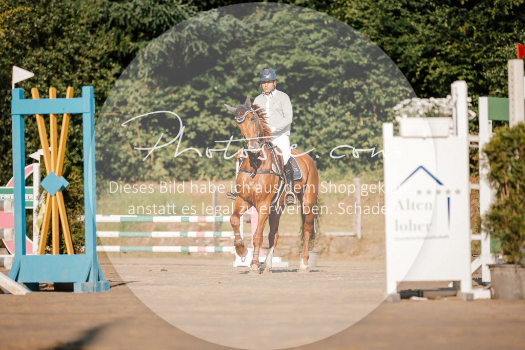 3I6A6073 | Stimmungsvolle Portraits und Reitsportfotografie im Ruhrgebiet und im Münsterland.

Pferdefotografie, Hundefotografie, Tierfotografie, Reportagen, Portraits von Tier und Mensch, Turnierfotografie in Bochum, Recklinghausen, Marl, Haltern am See, Dülmen.. - Realisiert mit Pictrs.com