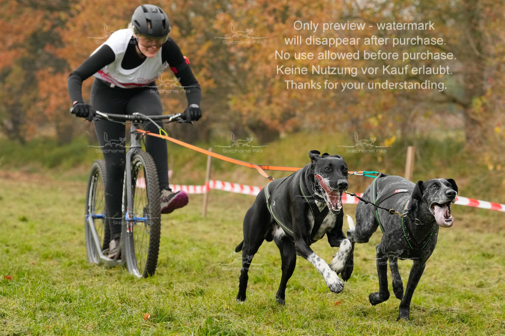 AusschnitteSa-182 | stephaniefillaphotographie - Realisiert mit Pictrs.com